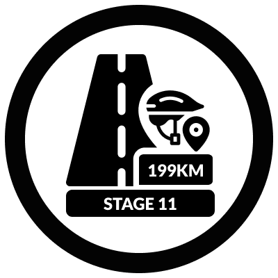 11